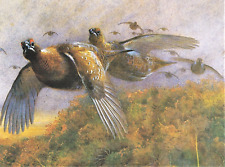Red grouse flight. for sale  NELSON