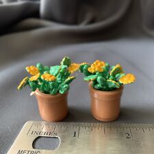 Miniature potted yellow for sale  Littleton