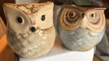 Mini Ceramic Owl Succulent Plants Pots Blue/Beige Set Of 2 for sale  Shipping to South Africa