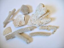 Natural coral pieces for sale  Arlington