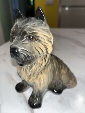 cairn terrier dog for sale  DOVER