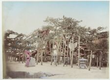 C.1880 photo japan for sale  DOWNPATRICK