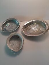 Lot abalone shells for sale  Tiffin
