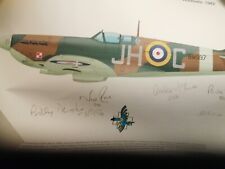Signed spitfire picture for sale  TORQUAY