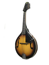 Rogue 100a mandolin for sale  Bayside