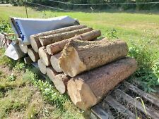 Brennholz fichte 100cm gebraucht kaufen  Eppenbrunn, Ruppertsweiler, Vinningen