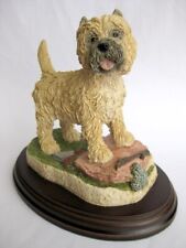 Stunning cairn terrier for sale  CHRISTCHURCH