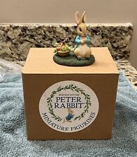 Beatrix potter peter for sale  Gulfport