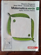 Matematica verde algebra. usato  Contursi Terme