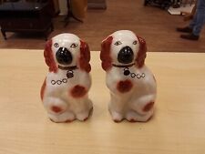 staffordshire spaniel dogs for sale  SOUTHSEA