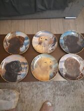 Set labrador pictures for sale  SPENNYMOOR