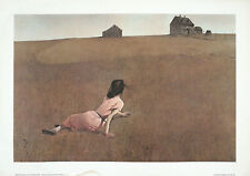 Andrew wyeth vtg for sale  East Aurora