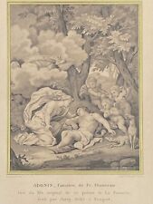 Gravure adonis camaieu d'occasion  Nantes-