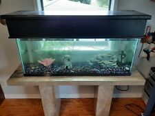 50 gallon fish tank for sale  Sherman