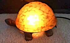 tortoise turtle for sale  Trenton