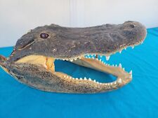 Alligator head real for sale  Summerville