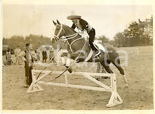 1938 colchester horse usato  Milano