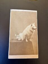 Dog samoyed cdv for sale  Jefferson