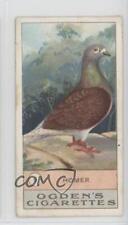 1911 itc fowls for sale  Auburn
