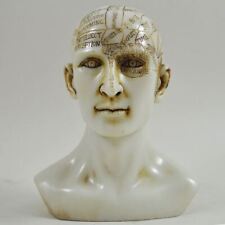 Phrenology head decorative for sale  Shipping to Ireland