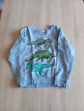 Pullover sweatshirt dinos gebraucht kaufen  Gerbstedt