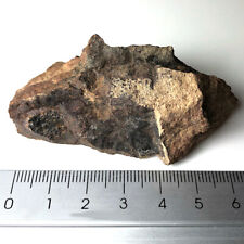 Meteorit jiddat harasis gebraucht kaufen  Leipzig