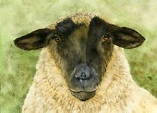 Suffolk sheep watercolour for sale  YEOVIL