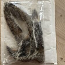 Grey squirrel tails for sale  IPSWICH