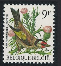 Belgium eurasian goldfinch d'occasion  Expédié en Belgium