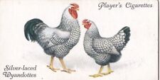 Poultry 1931 players for sale  PRESTON