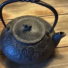 Teapot kettle tetsubin for sale  Pfafftown