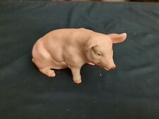Royal crown pig for sale  Deland