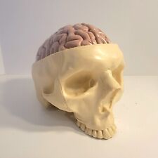 Anatomical skull brain for sale  Shipping to Ireland