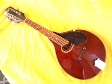 Goya mandolin gm23 for sale  Bonita