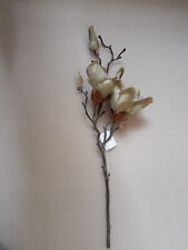 magnolienzweig gebraucht kaufen  Zeulenroda-Triebes