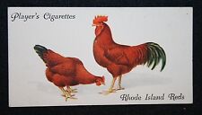 Used, RHODE ISLAND RED    Chickens     Original  Vintage Colour Card  EB14P for sale  DERBY
