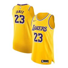 Maillot nba lebron d'occasion  France