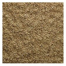 Bucktons canary seed for sale  WOLVERHAMPTON