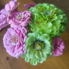 Zinnia seeds tranquility for sale  Burnsville