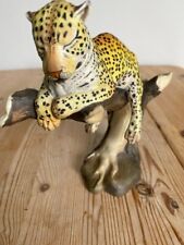 African leopard boehm for sale  TORQUAY