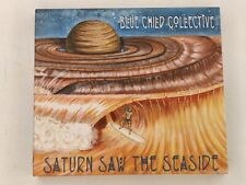 Blue Child Collective - Saturn Saw The Seaside 2016, juego de 2 CD segunda mano  Embacar hacia Argentina