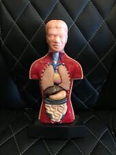 Human anatomy trunk for sale  Mechanicville