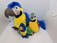 Parrot macaw rainbow for sale  LONDON