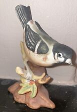 Coal tit bird for sale  WIGAN