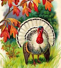 Thanksgiving postcard big for sale  Salemburg