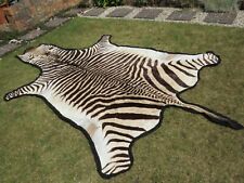 zebra skin rug for sale  SHIPSTON-ON-STOUR
