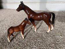 Horse mare foal for sale  DRIFFIELD