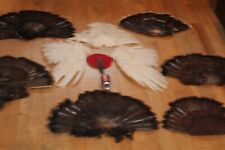 Turkey tail fan for sale  Brandon