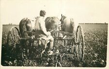 Cartão postal foto real cultivador puxado por cavalo homem em 2 fileiras comprar usado  Enviando para Brazil