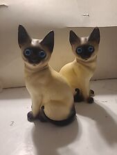 2 siamese cats for sale  Benton